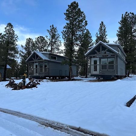 Cozy Cabin With Mountain View 6A ウィリアムズ エクステリア 写真