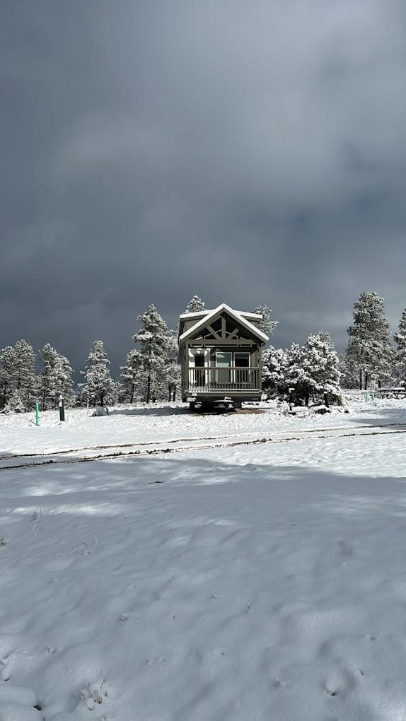 Cozy Cabin With Mountain View 6A ウィリアムズ エクステリア 写真